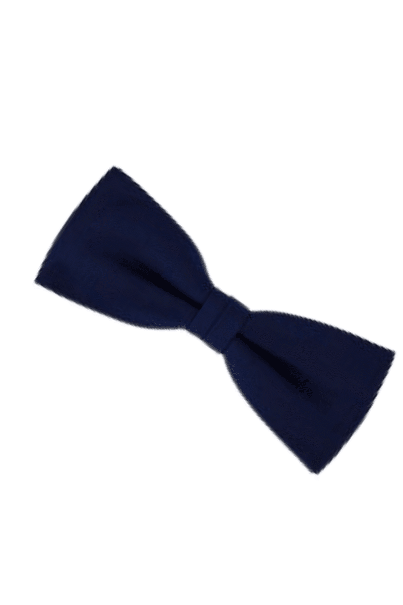 Navy Bow Tie