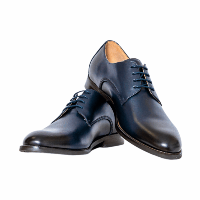 Sebastian Navy Leather Shoe